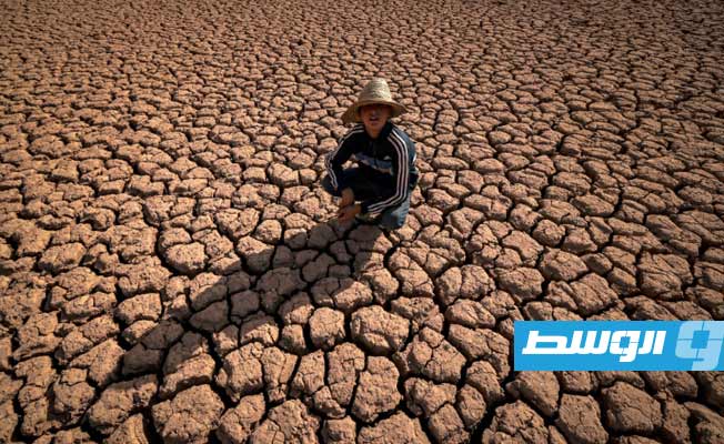 دراسة: التغير المناخي «زاد 20 مرة» من احتمالات حدوث الجفاف