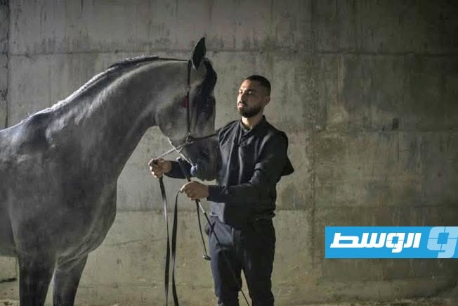 شغف فلسطيني بتربية الخيول على الرغم من تحديات العنف والاستيطان