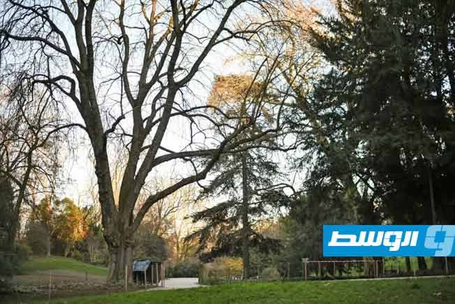 السجن 27 عاما لرجل قتل زوجته ورمى أشلاءها في حديقة بباريس