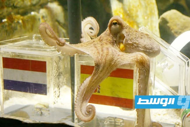 الذكاء الصناعي يدخل خط توقعات مونديال 2026
